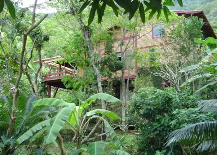 Casa Das Arvores