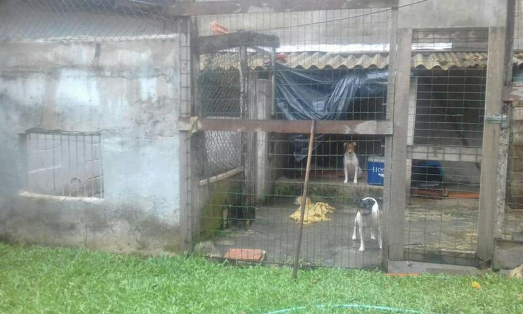 Apartamento Casa Arvores Ubatuba
