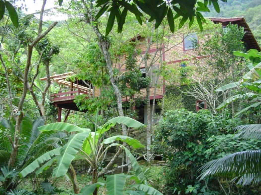 Casa Arvores *